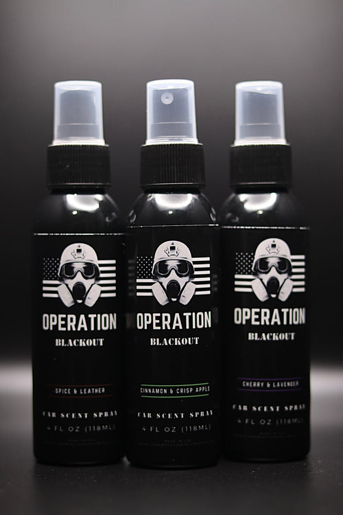 3-Scent Car Air Freshener Bundle